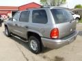 Bright Platinum Metallic - Durango SLT 4x4 Photo No. 3