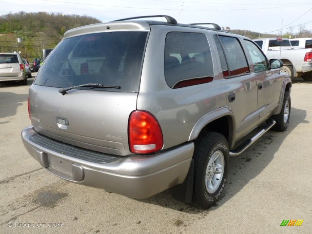 2000 Durango SLT 4x4 - Bright Platinum Metallic / Mist Gray photo #5