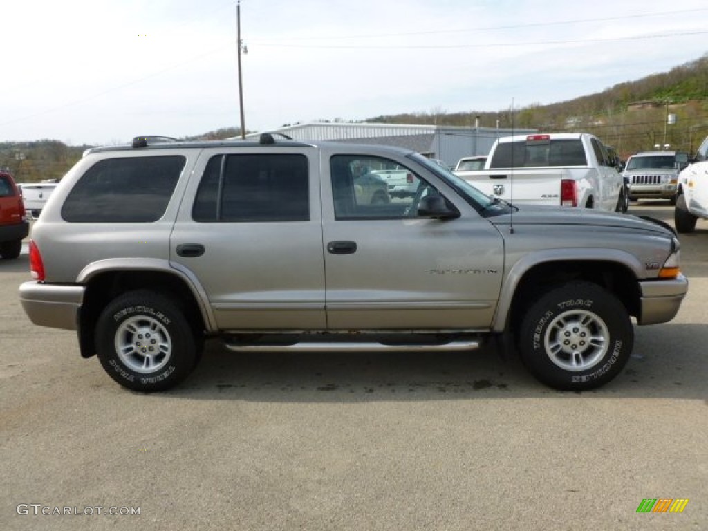 2000 Durango SLT 4x4 - Bright Platinum Metallic / Mist Gray photo #6
