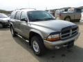 Bright Platinum Metallic - Durango SLT 4x4 Photo No. 7
