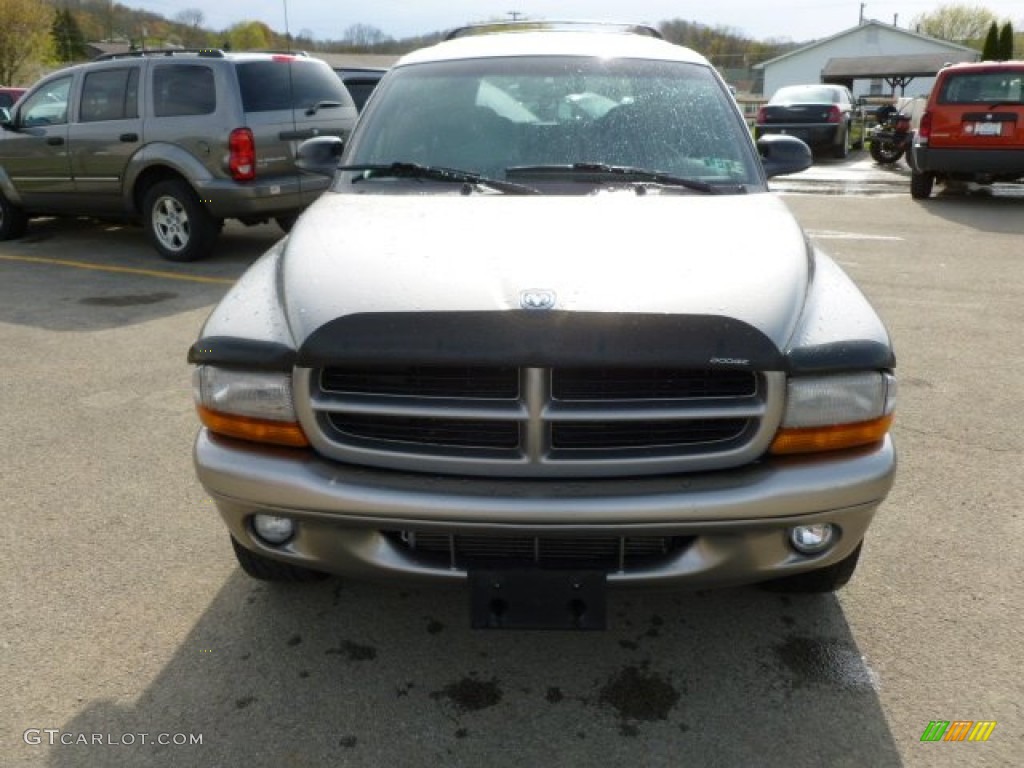 2000 Durango SLT 4x4 - Bright Platinum Metallic / Mist Gray photo #8