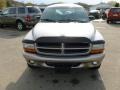 Bright Platinum Metallic - Durango SLT 4x4 Photo No. 8