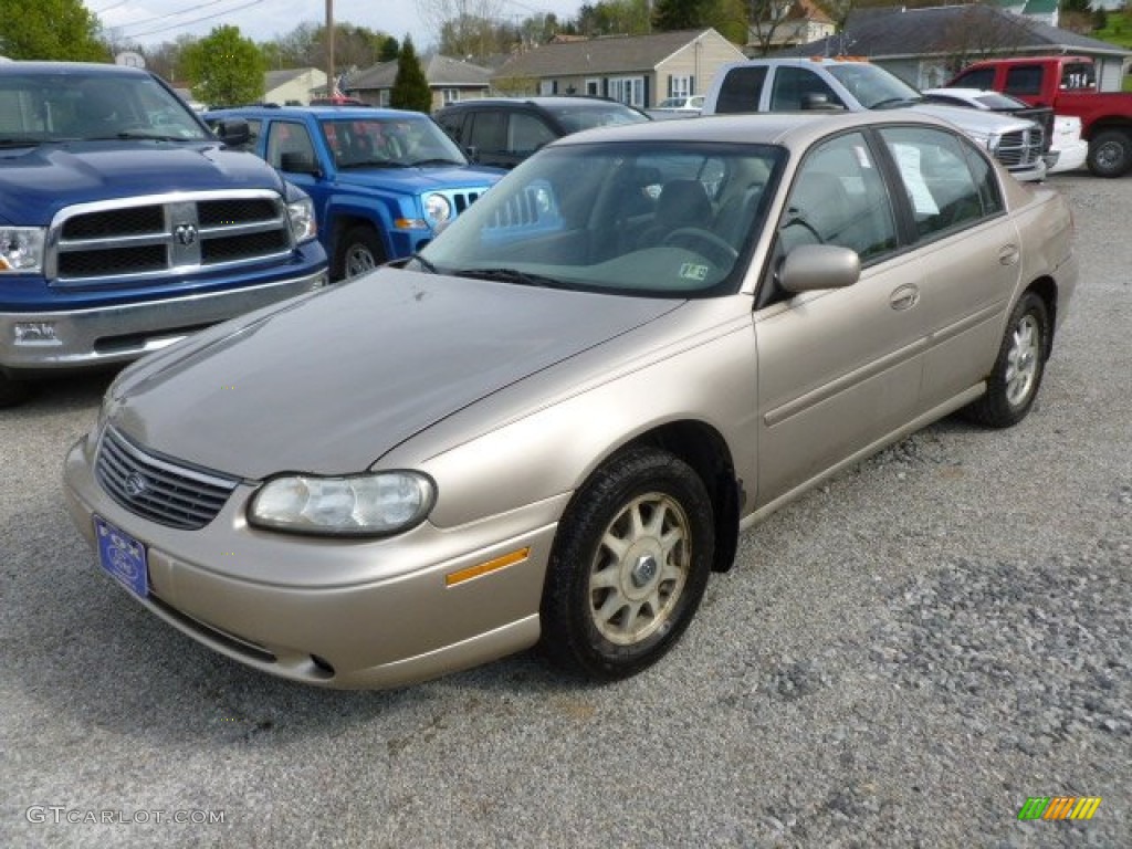 1999 Malibu LS Sedan - Sandrift Metallic / Medium Oak photo #1