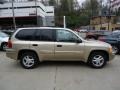 2004 Sand Beige Metallic GMC Envoy SLE 4x4  photo #5