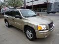 Sand Beige Metallic - Envoy SLE 4x4 Photo No. 6