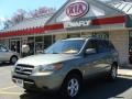 Natural Khaki Green - Santa Fe GLS Photo No. 1