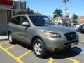 Natural Khaki Green - Santa Fe GLS Photo No. 3