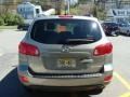 Natural Khaki Green - Santa Fe GLS Photo No. 5
