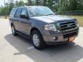 Sterling Gray Metallic 2012 Ford Expedition Gallery