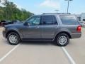 Sterling Gray Metallic - Expedition XLT Photo No. 8