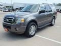 Sterling Gray Metallic - Expedition XLT Photo No. 9