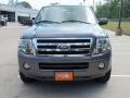 Sterling Gray Metallic - Expedition XLT Photo No. 10
