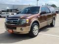 2012 Golden Bronze Metallic Ford Expedition EL King Ranch  photo #9