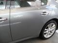Precision Gray Metallic - Maxima 3.5 SV Photo No. 10