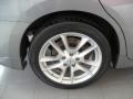 Precision Gray Metallic - Maxima 3.5 SV Photo No. 25