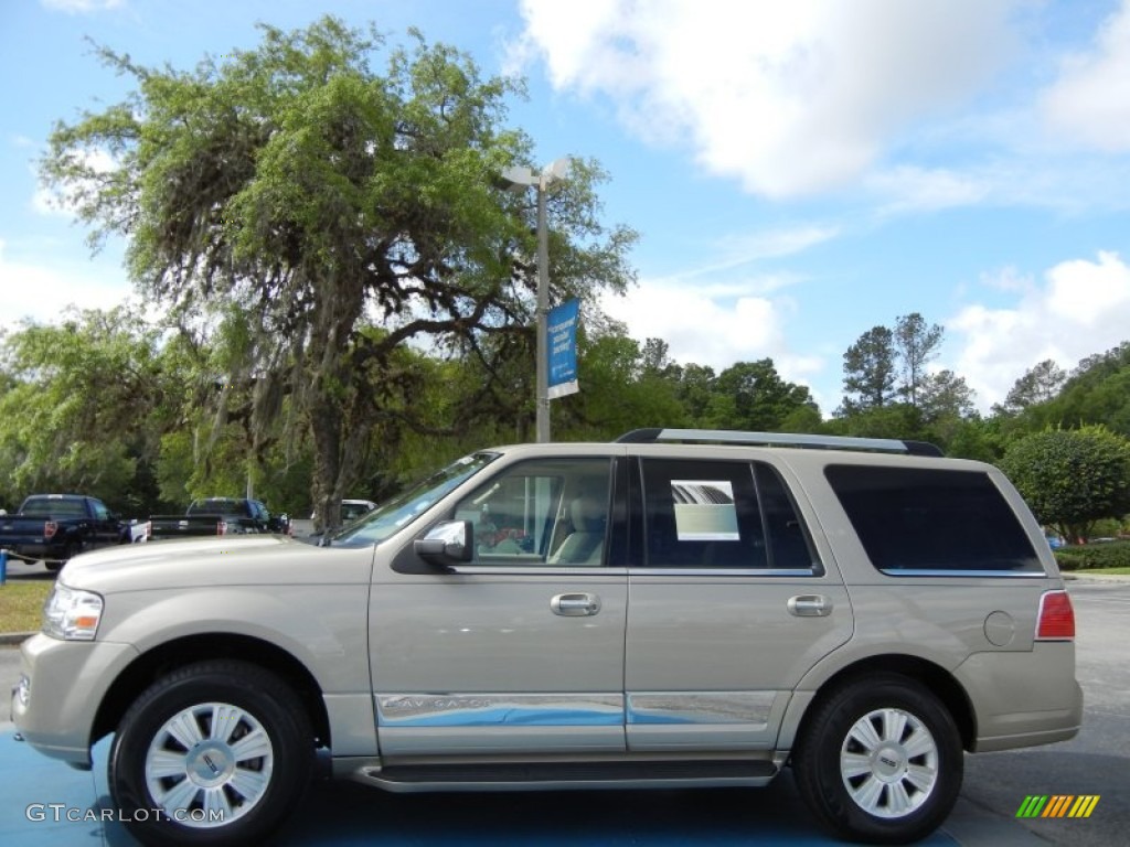 Light French Silk Metallic 2008 Lincoln Navigator Luxury Exterior Photo #63392296
