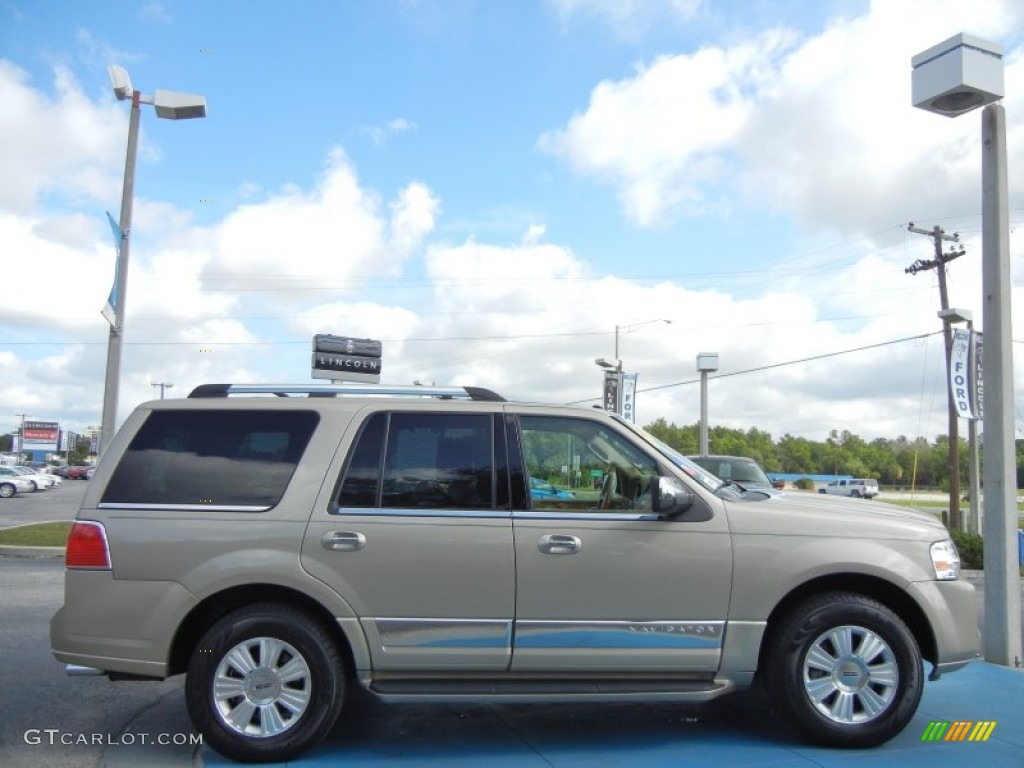 Light French Silk Metallic 2008 Lincoln Navigator Luxury Exterior Photo #63392332