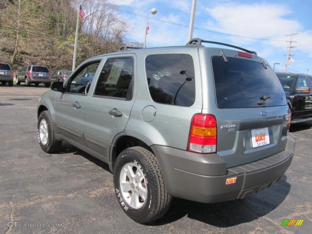 2006 Escape XLT V6 4WD - Titanium Green Metallic / Medium/Dark Flint photo #7