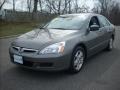 2006 Graphite Pearl Honda Accord EX-L Sedan  photo #7