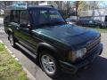 2004 Epsom Green Land Rover Discovery SE  photo #7