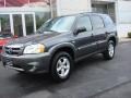 2006 Storm Front Gray Metallic Mazda Tribute s  photo #7