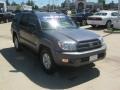 2003 Galactic Gray Mica Toyota 4Runner SR5  photo #7