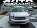 2010 Ingot Silver Metallic Ford Escape Limited V6  photo #2