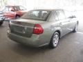 2005 Silver Green Metallic Chevrolet Malibu Sedan  photo #6