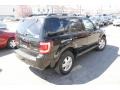 2009 Black Ford Escape XLT V6 4WD  photo #4