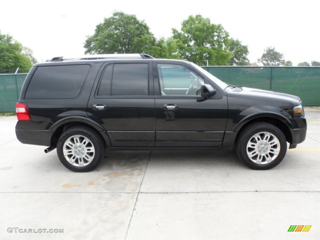Tuxedo Black Metallic 2011 Ford Expedition Limited Exterior Photo #63428726