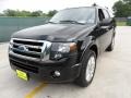 Tuxedo Black Metallic - Expedition Limited Photo No. 7