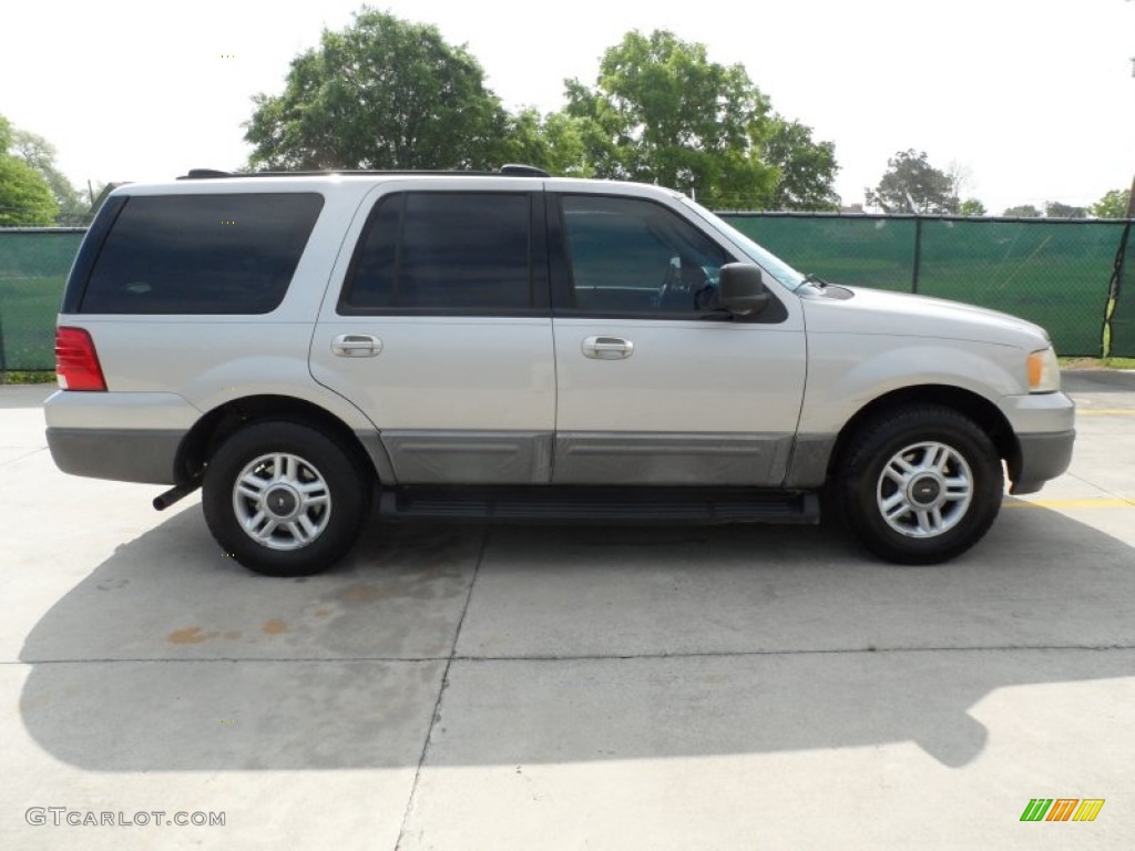 2003 Expedition XLT - Silver Birch Metallic / Flint Grey photo #2