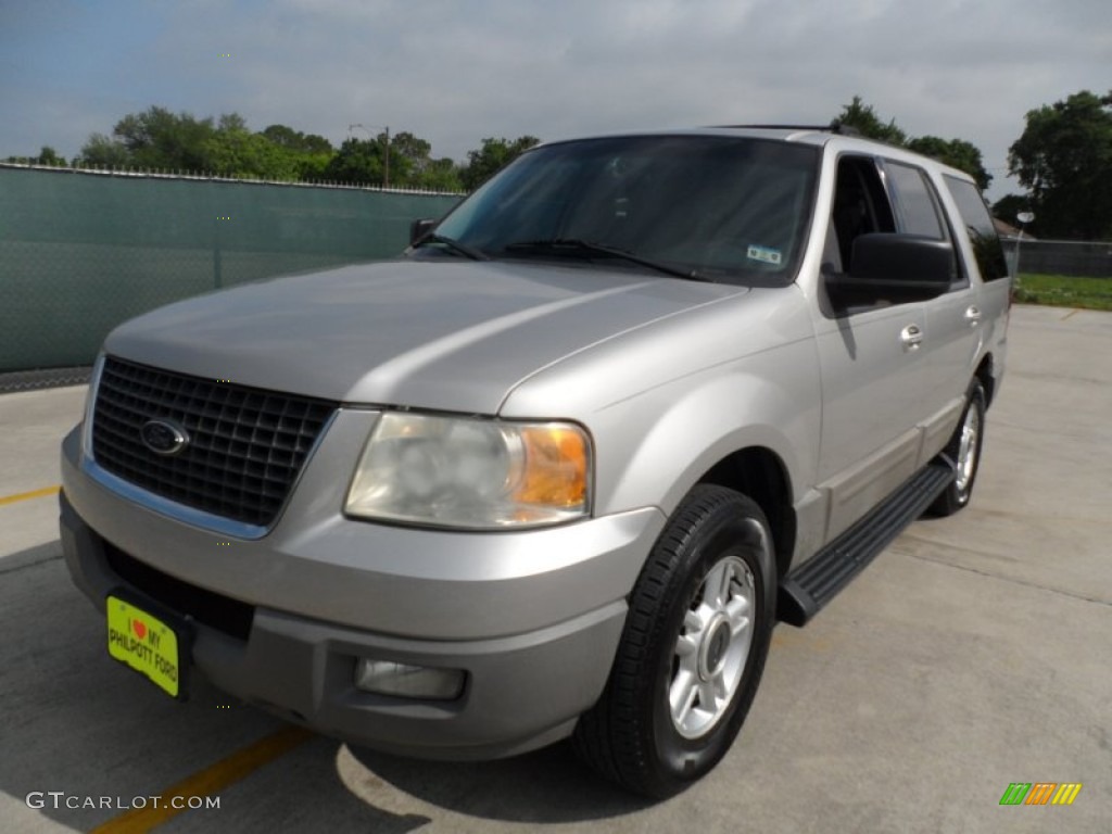 2003 Expedition XLT - Silver Birch Metallic / Flint Grey photo #7
