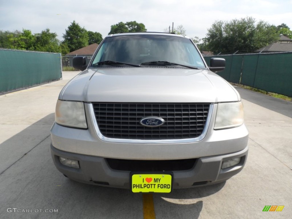 2003 Expedition XLT - Silver Birch Metallic / Flint Grey photo #8