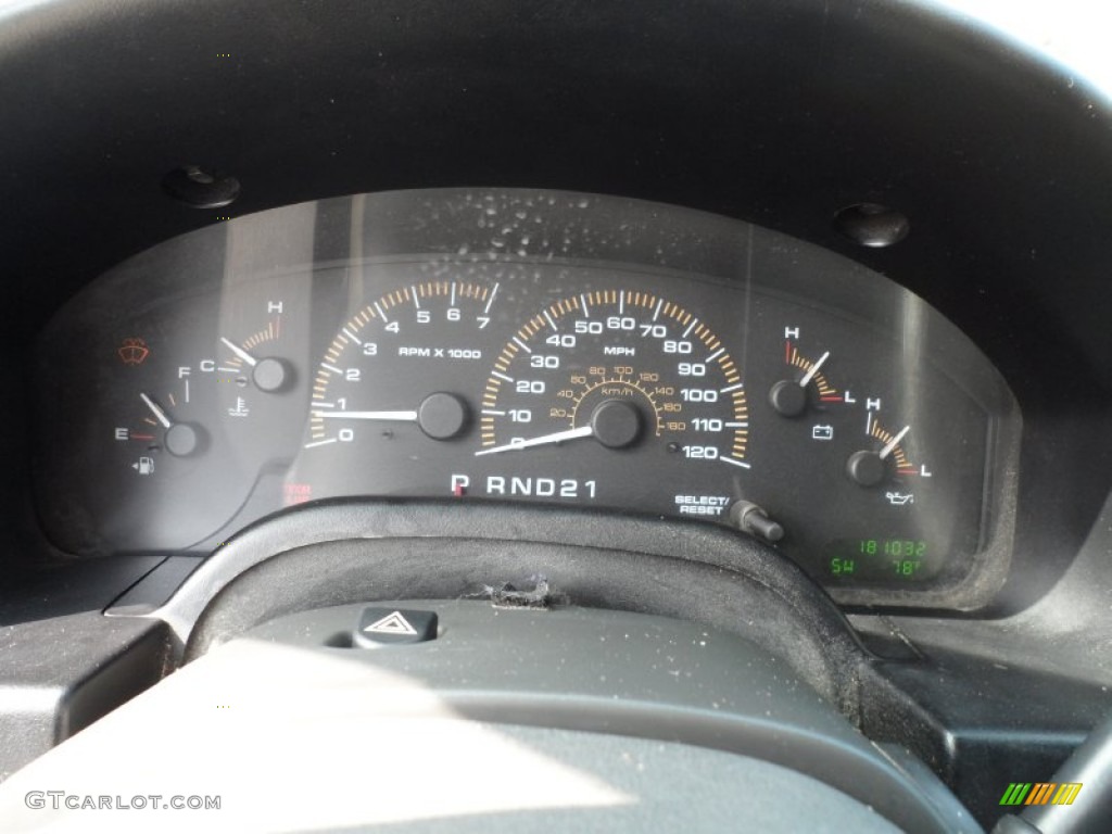 2003 Expedition XLT - Silver Birch Metallic / Flint Grey photo #34