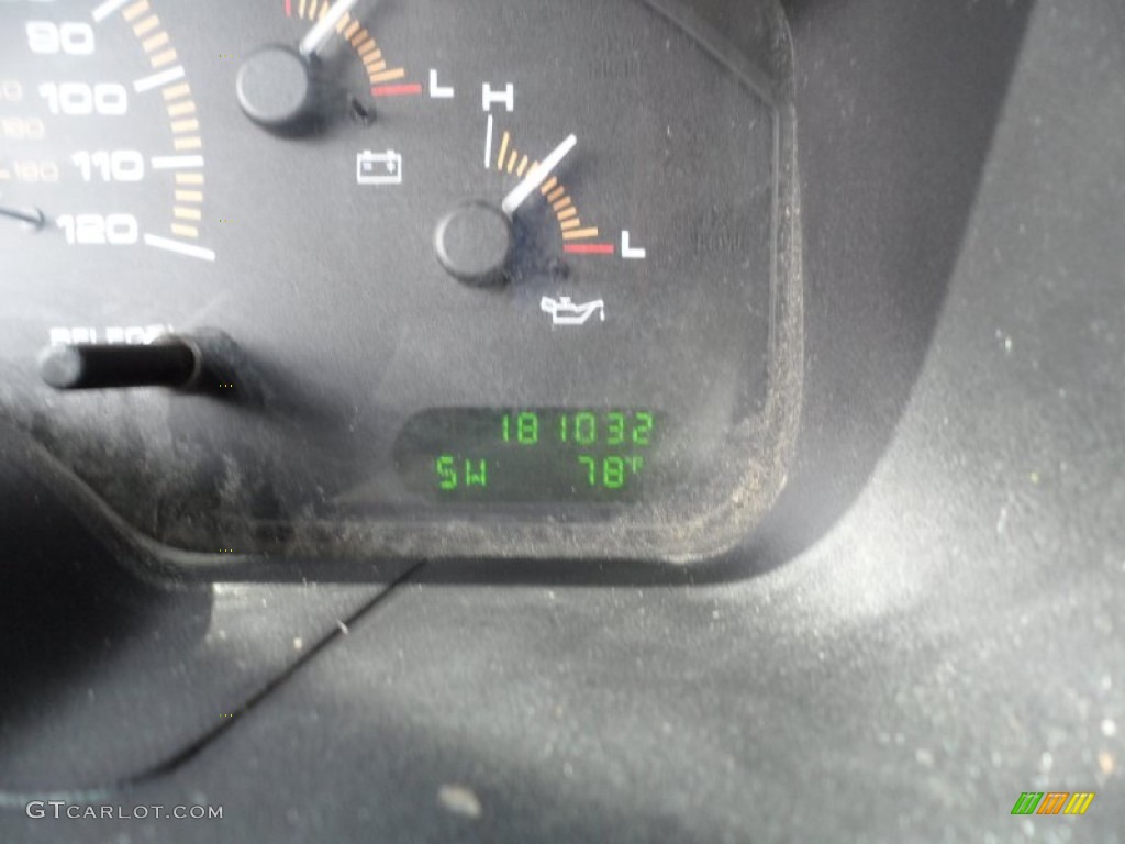 2003 Expedition XLT - Silver Birch Metallic / Flint Grey photo #35