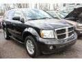 Brilliant Black - Durango SLT 4x4 Photo No. 12