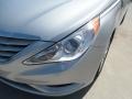 Radiant Silver - Sonata GLS Photo No. 9