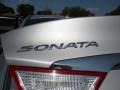 Radiant Silver - Sonata GLS Photo No. 15