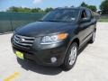 2012 Black Forest Green Hyundai Santa Fe Limited V6  photo #7