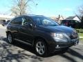 2010 Smokey Granite Mica Lexus RX 350 AWD  photo #3