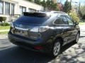 2010 Smokey Granite Mica Lexus RX 350 AWD  photo #4