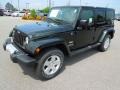 Black Forest Green Pearl - Wrangler Unlimited Sahara 4x4 Photo No. 1