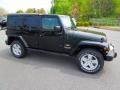 Black Forest Green Pearl - Wrangler Unlimited Sahara 4x4 Photo No. 3