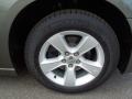 Tungsten Metallic - Charger SE Photo No. 25