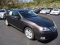 Truffle Brown Mica - ES 350 Photo No. 6