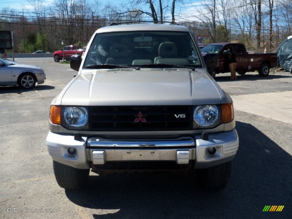 1999 Montero 4x4 - Sudan Beige Metallic / Tan photo #3