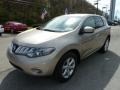 2009 Saharan Stone Metallic Nissan Murano SL AWD  photo #6