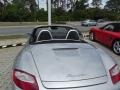 Arctic Silver Metallic - Boxster  Photo No. 15