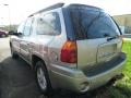 2002 Pewter Metallic GMC Envoy XL SLT 4x4  photo #4